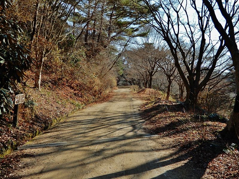 園内路1