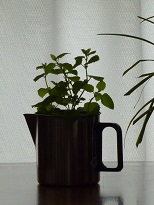 027-1.jpg