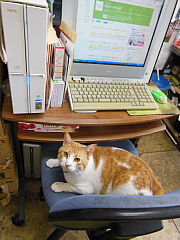 conv0499.JPG