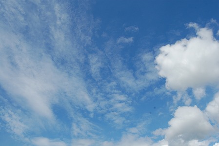 s-DSC_0433.jpg