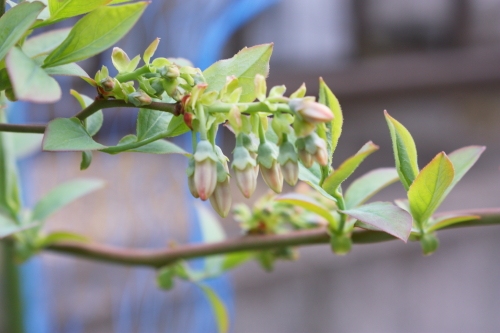 20160410022.JPG