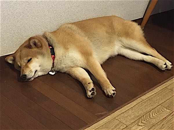 rblog-20160516220812-01.jpg