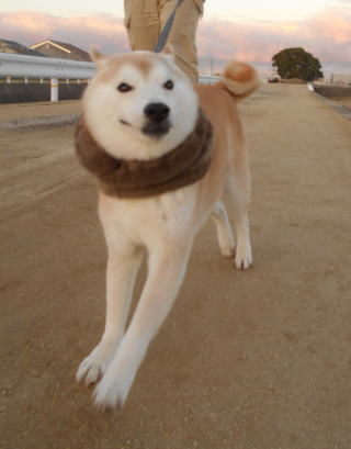 走る3.jpg
