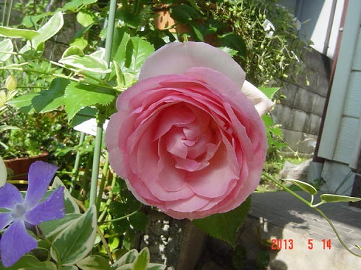 DSC01087.JPG