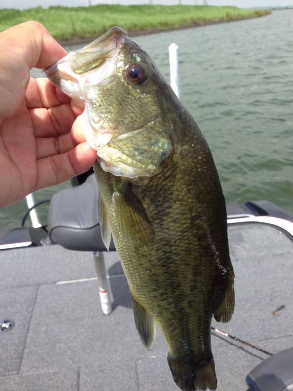 rblog-20150811102211-01.jpg