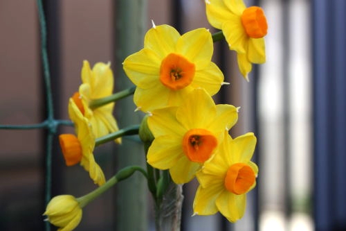 20151227002.JPG