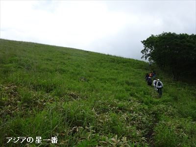 20160702 霧ヶ峰湿原2