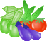 ill_vegetable03.gif