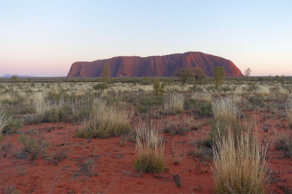 OZ871.jpg