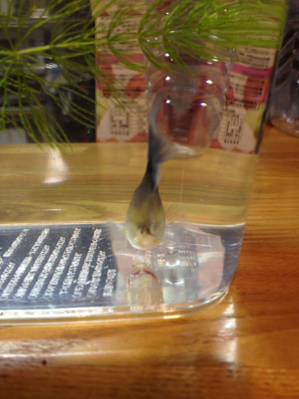 rblog-20141214024504-01.jpg
