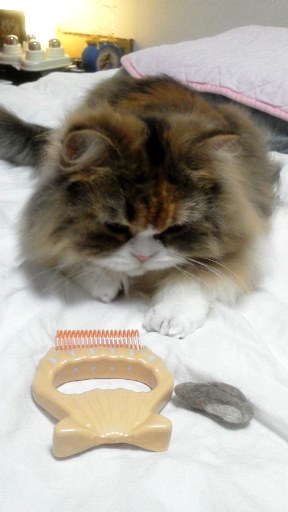 20140801005137.jpg