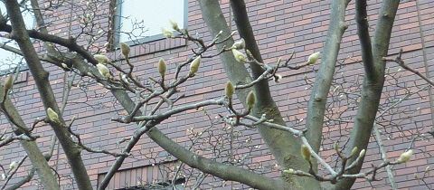 P1290308画像2.jpg