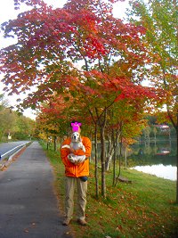 20131014朝イチの紅葉