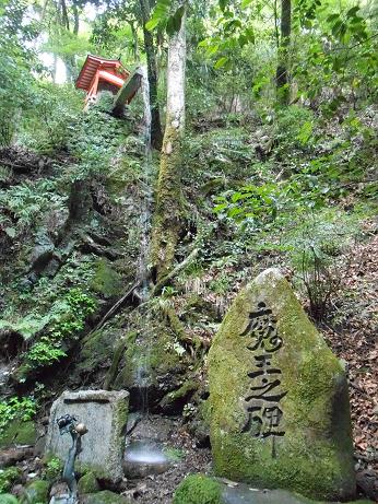 DSCN4578.jpg