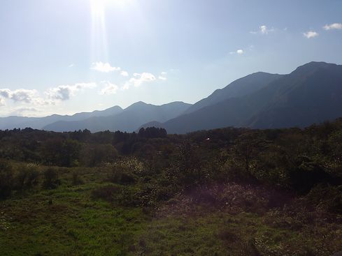 DSC_1346.jpg
