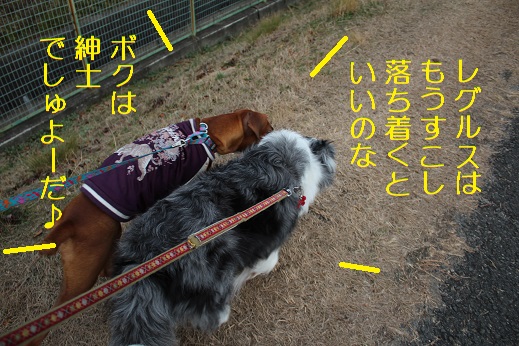 落ち着け