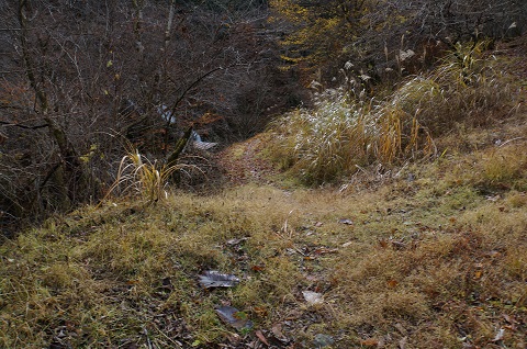 DSC03959.JPG