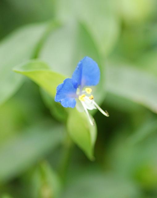 DSC_0008.JPG