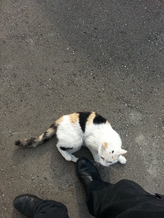 20130309_152531.jpg