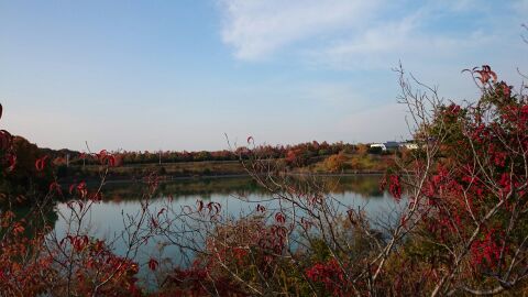 rblog-20141124212531-00.jpg