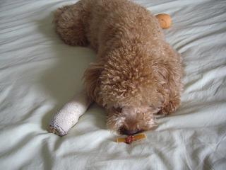 IMGP4153.JPG