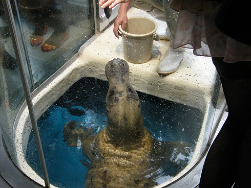 鳥羽水族館