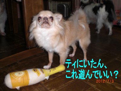 ピッピ１
