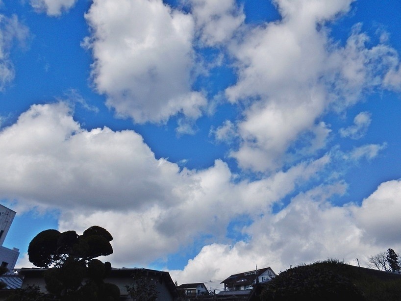 空2.JPG