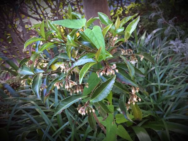 rblog-20160710211846-07.jpg