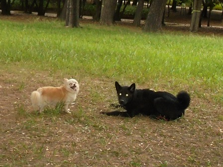 DSC03077.JPG