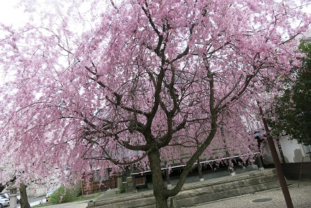 IMG_9860.jpg