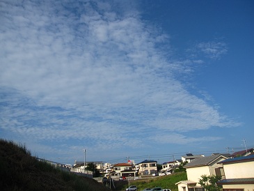 IMG_8992.JPG