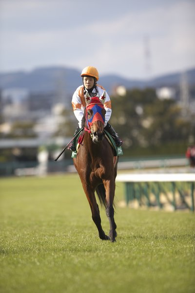 レース後
