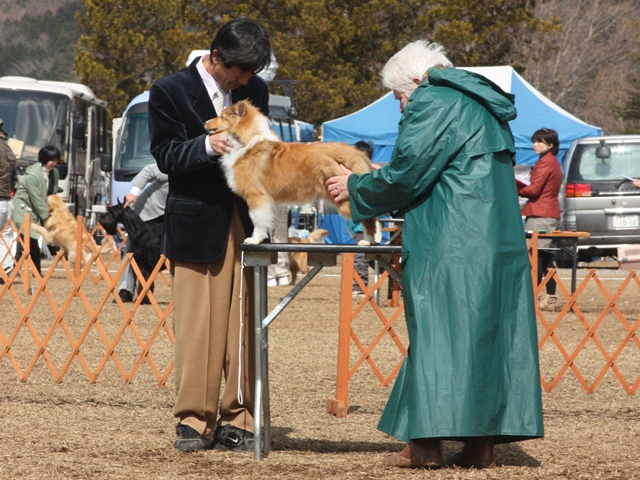 IMG_1048 - コピー.JPG