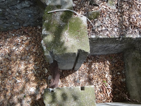DSC05337.JPG