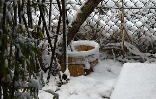 雪の朝　28.1.19-8_edited-1.jpg