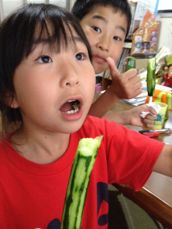 rblog-20150530111414-02.jpg