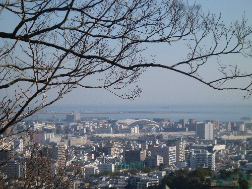 P1140490(2).JPG
