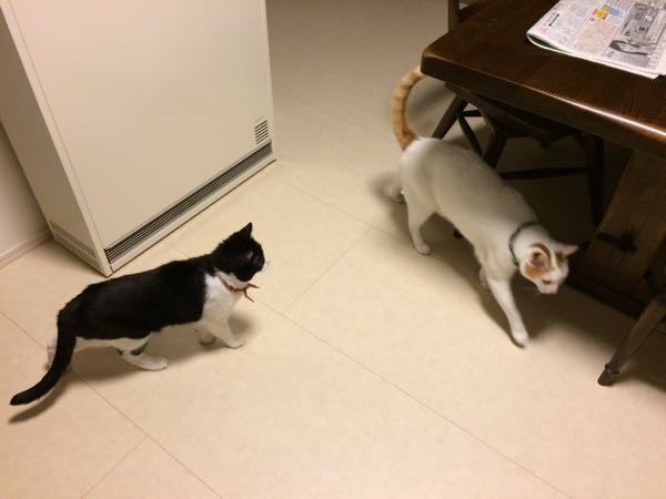 rblog-20150621051314-02.jpg