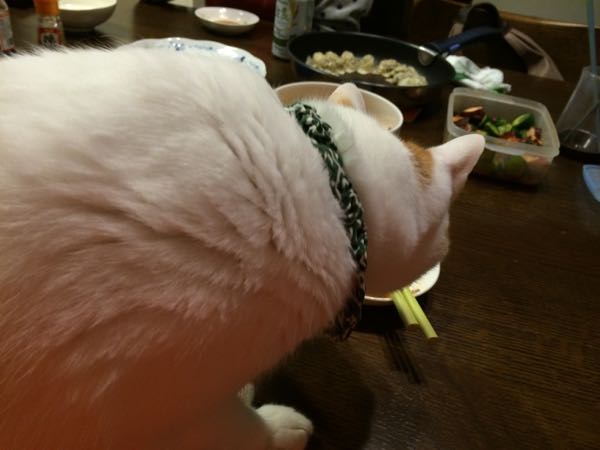 rblog-20150219062634-02.jpg