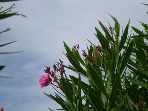 P1110614(1).JPG
