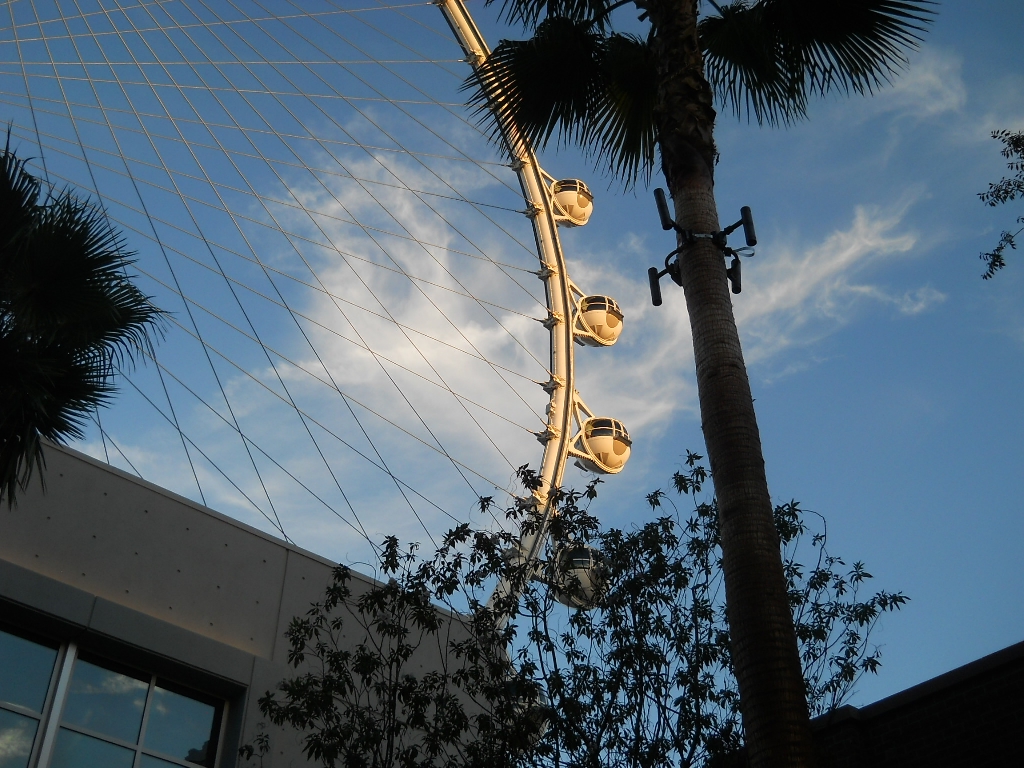 DSCN2595.jpg