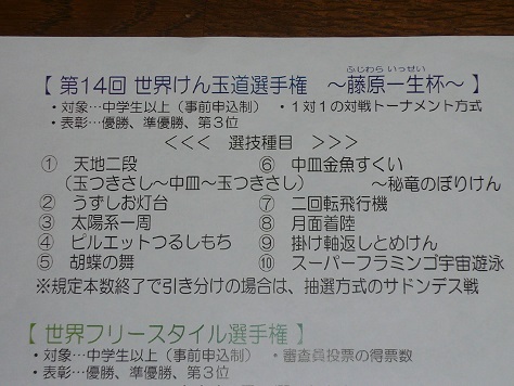 150913けん玉フェスタ2015 (5).JPG