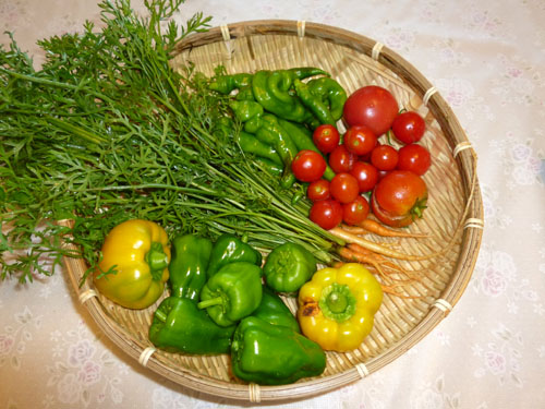 収穫野菜.jpg