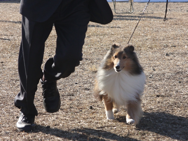 IMG_0512 - コピー.JPG
