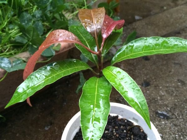 rblog-20171022083114-05.jpg