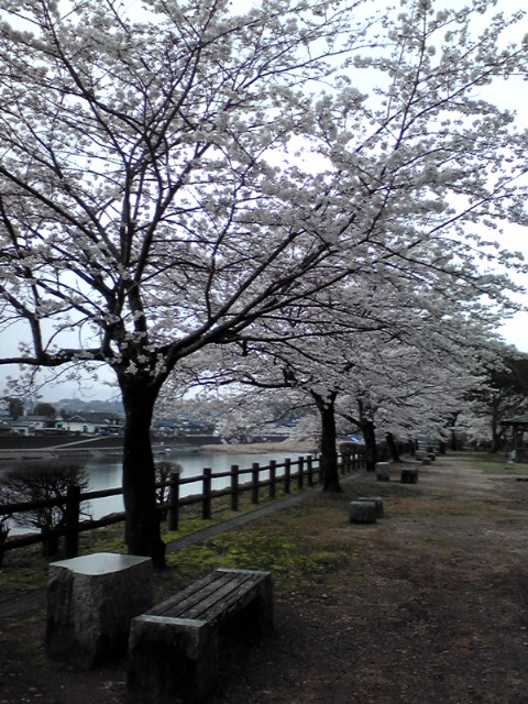 2013 03 24 012.JPG