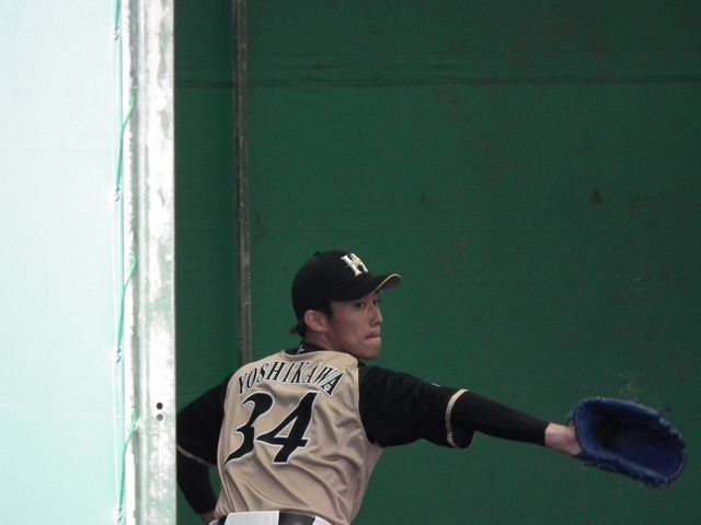 DSCF9118.JPG