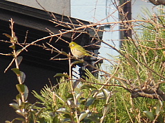 conv0021.JPG
