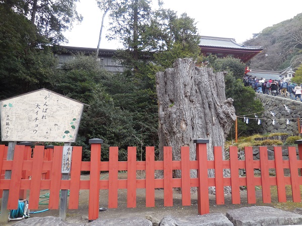 DSCN9879.jpg